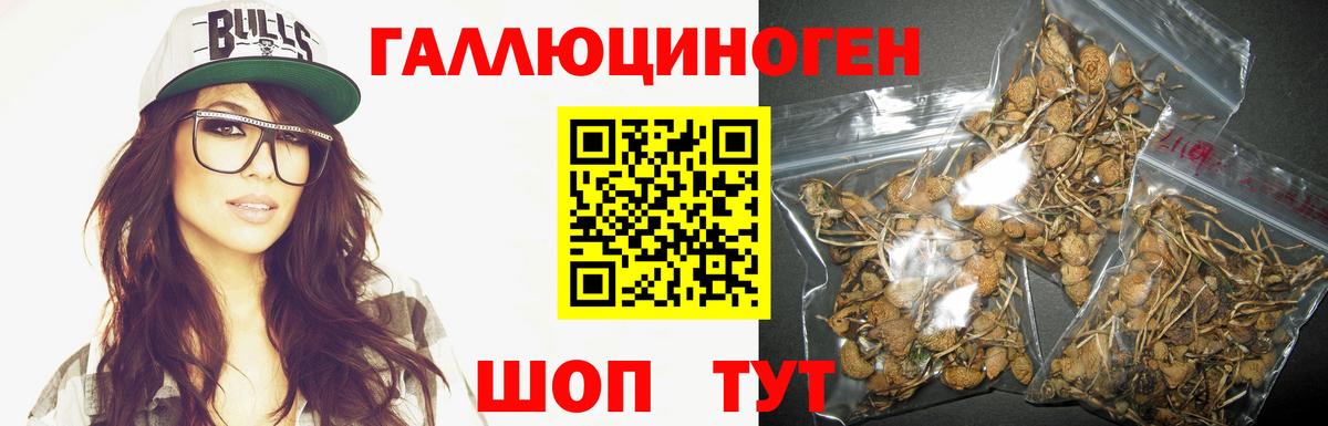 Галлюциногенные грибы Psilocybe  Вход с VPN  Краснодар 